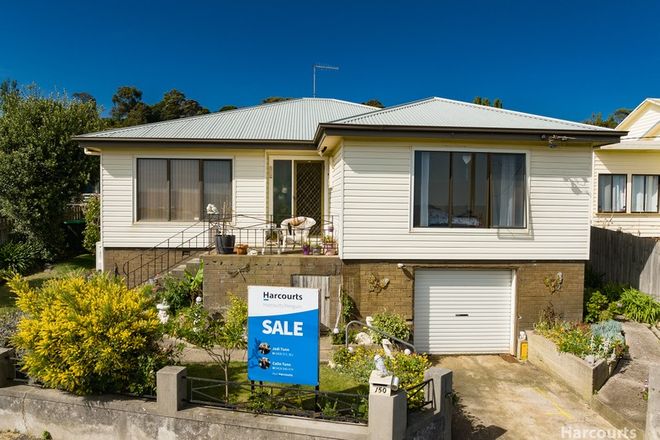 houses for sale penguin tasmania