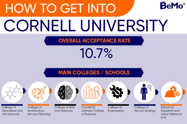 how many ed applicants does cornell get