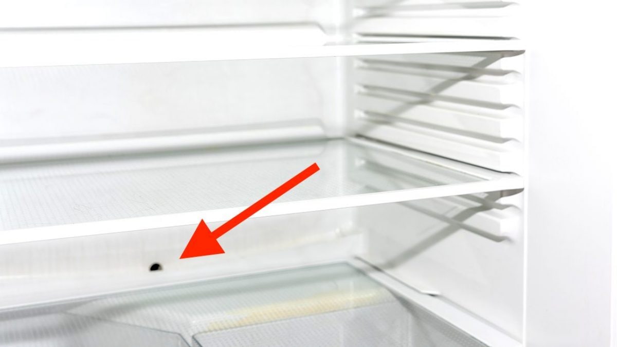 how to clean a fridge drain hole