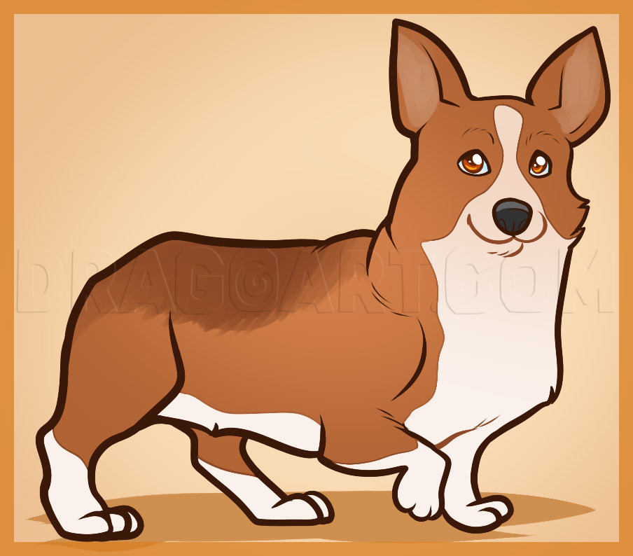 how to draw a corgi