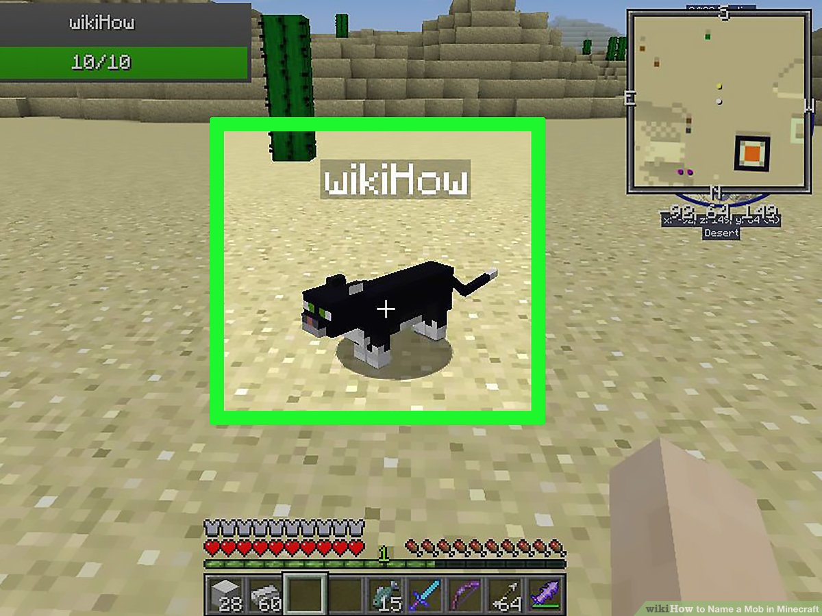 how to name a animal in minecraft