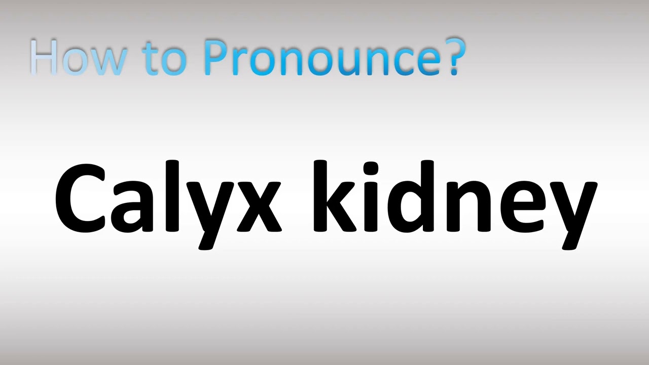 how to pronounce calyx