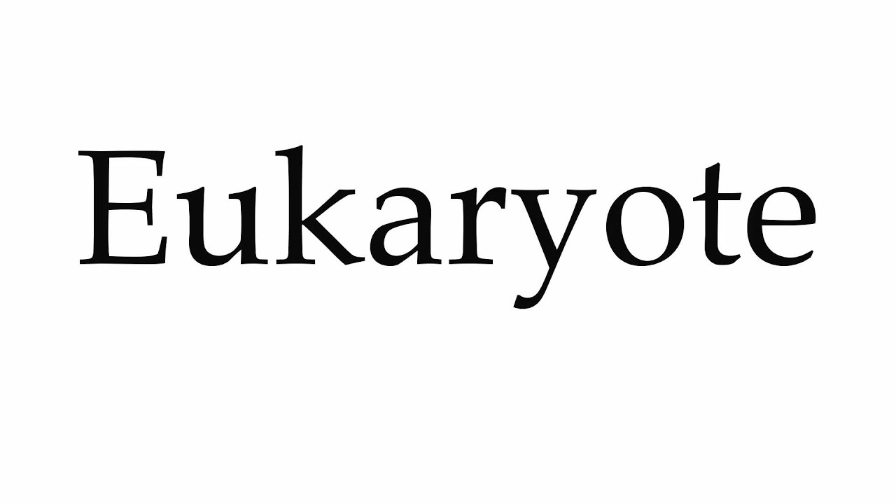 how to pronounce eukaryotic