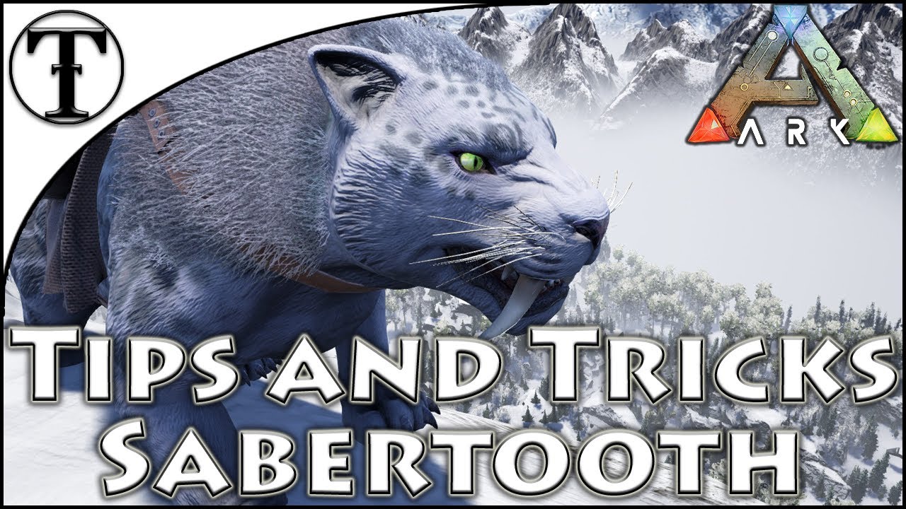 how to tame a sabertooth in ark