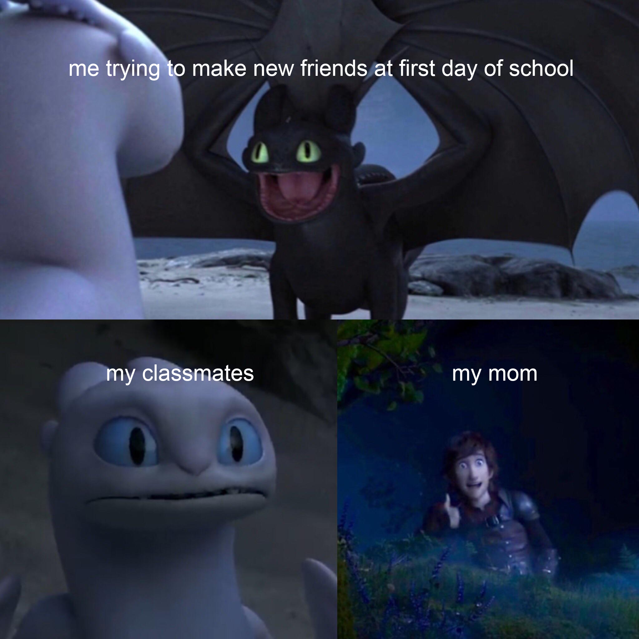 how to train your dragon memes