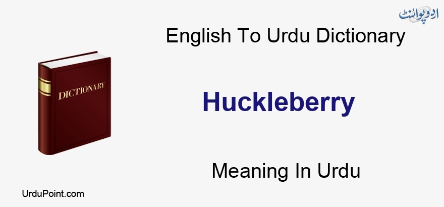 huckleberry meaning in urdu