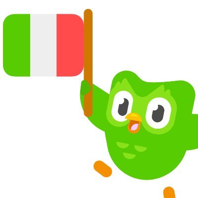 i am going in italian duolingo