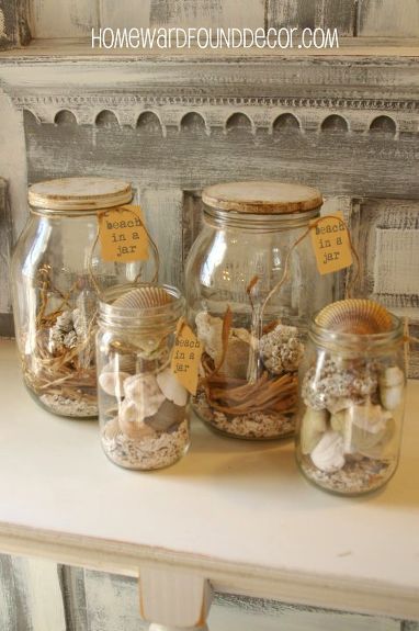 ideas for displaying seashells