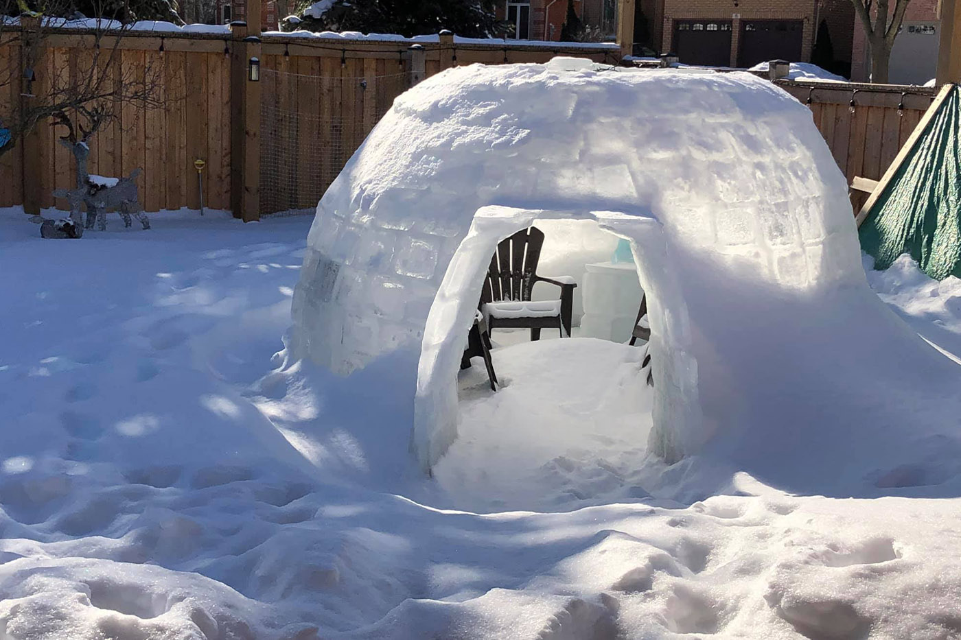 igloo hamilton