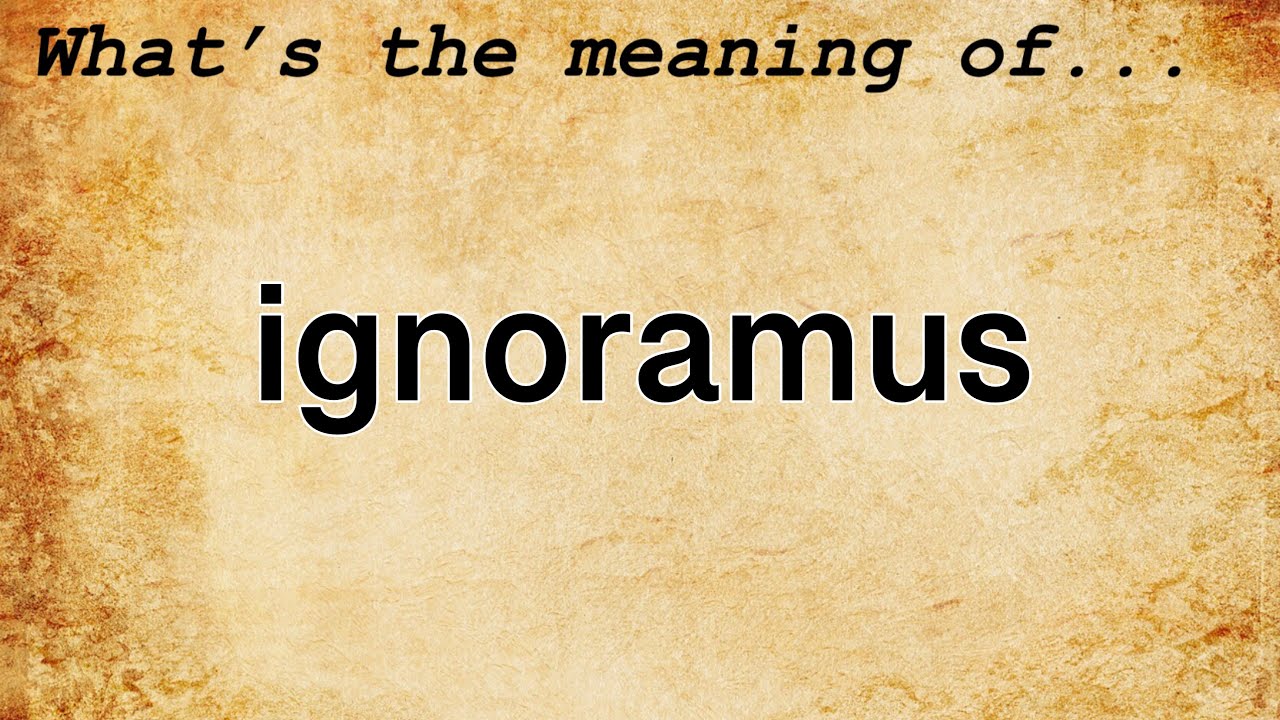 ignoramuses meaning