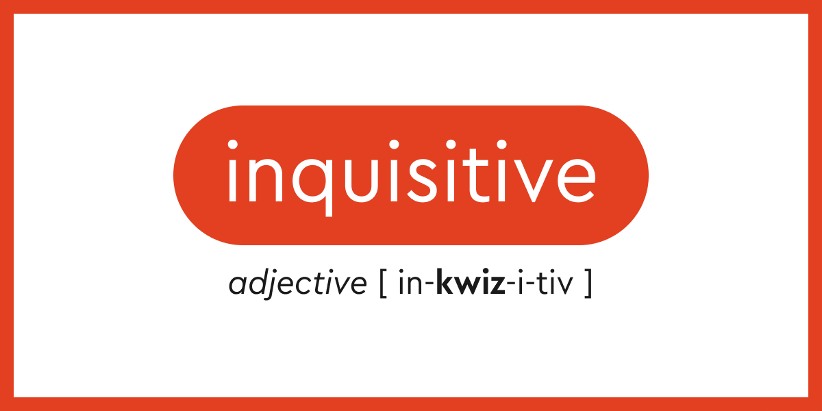 inquisitive thesaurus