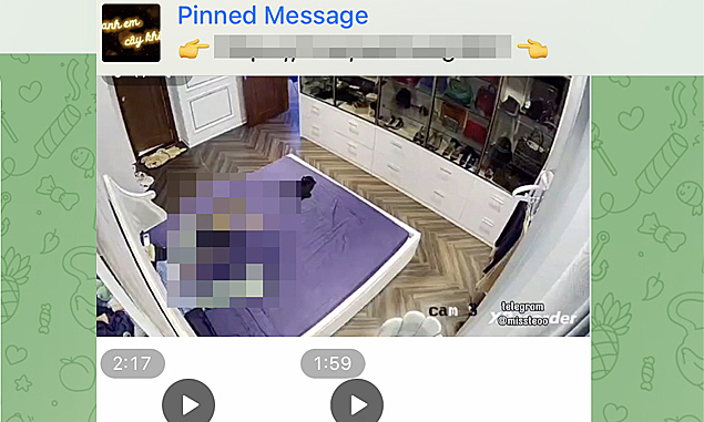 ip cam telegram