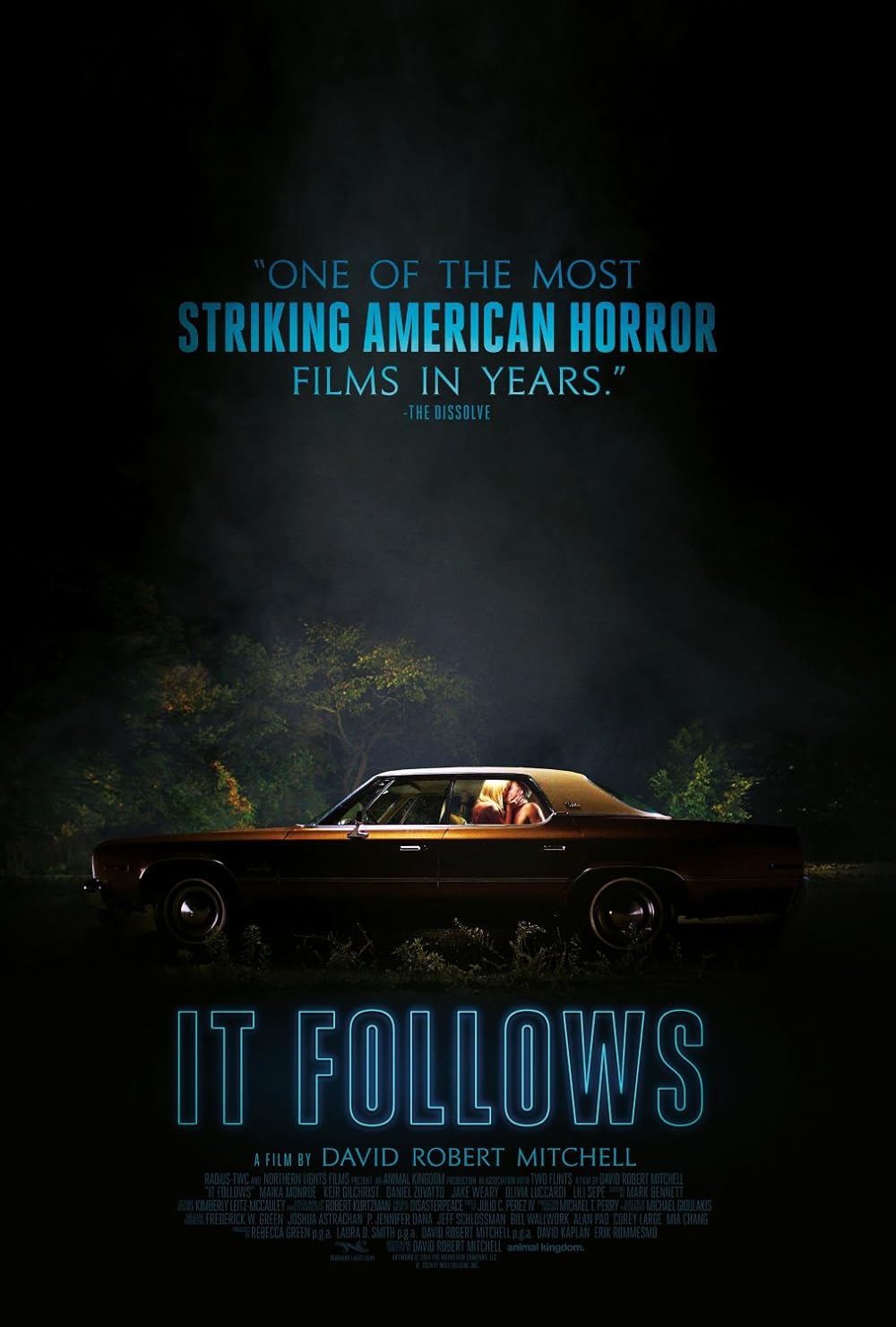 it follows imdb