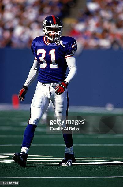 jason sehorn photos