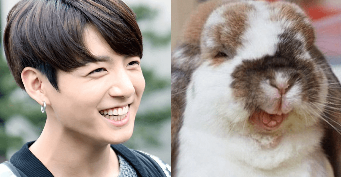 jungkook the bunny