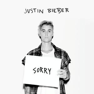 justin bieber sorry indir dur