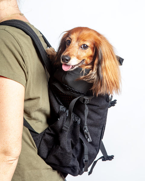 k9 backpack