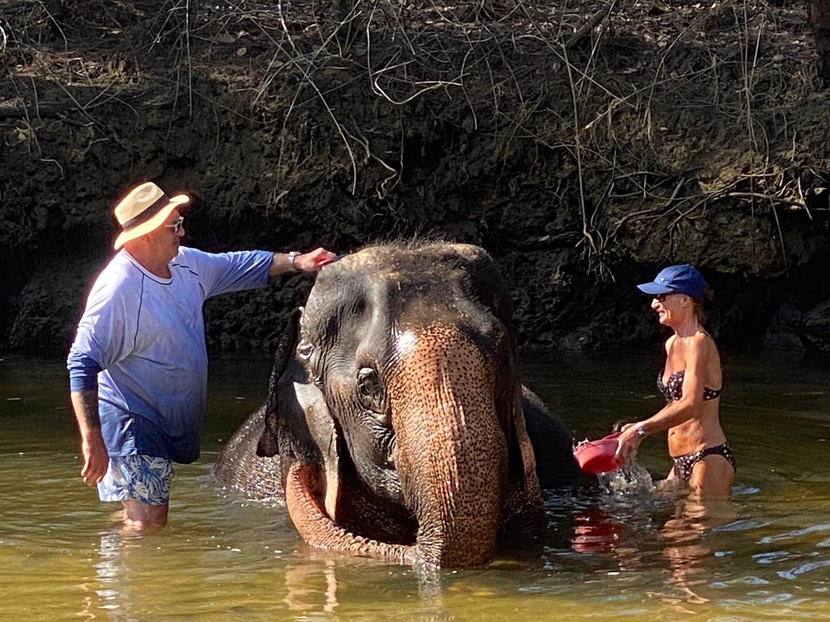 khao lak elephant home