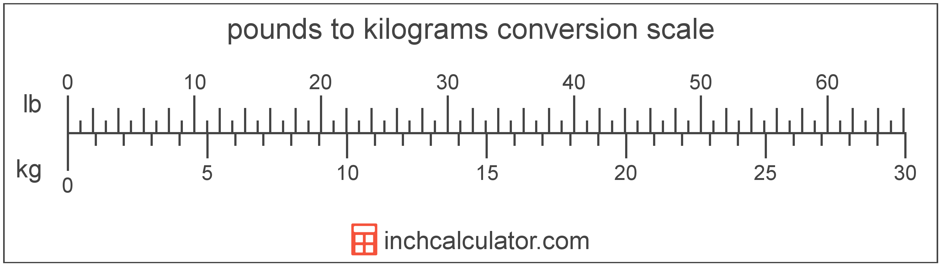 kilograms to lbs conversion calculator