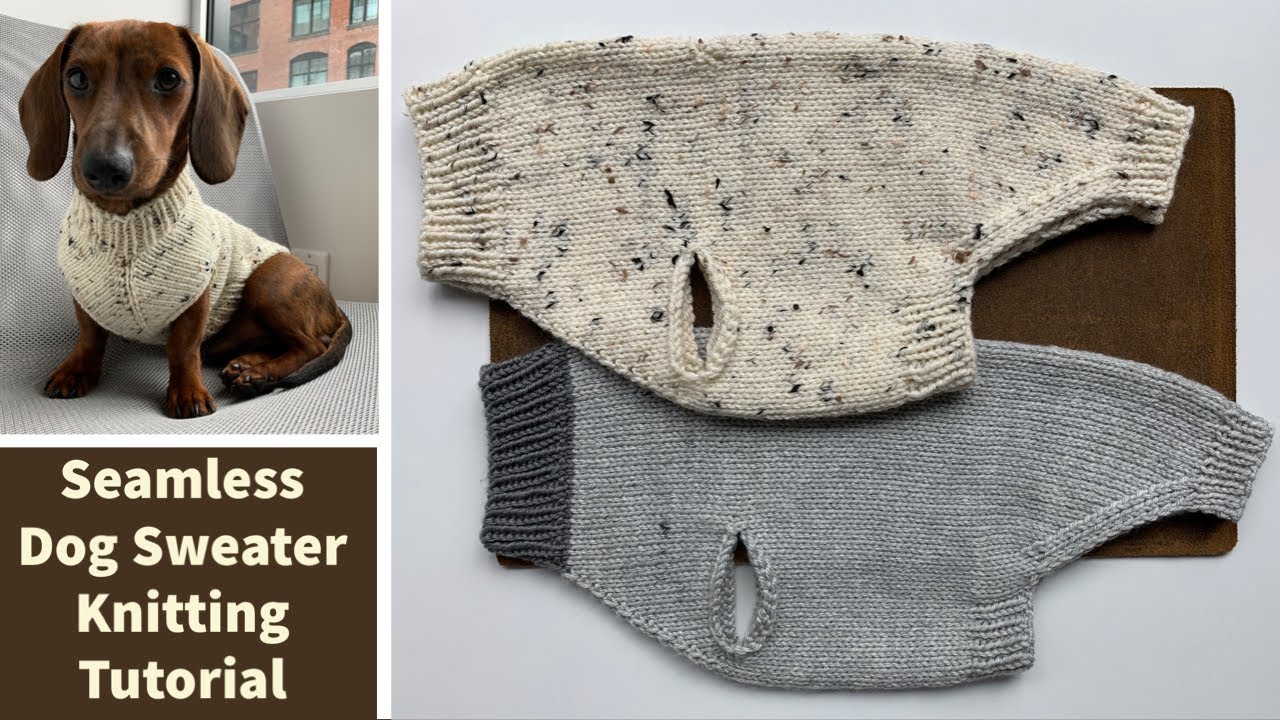 knitting pattern dog coat