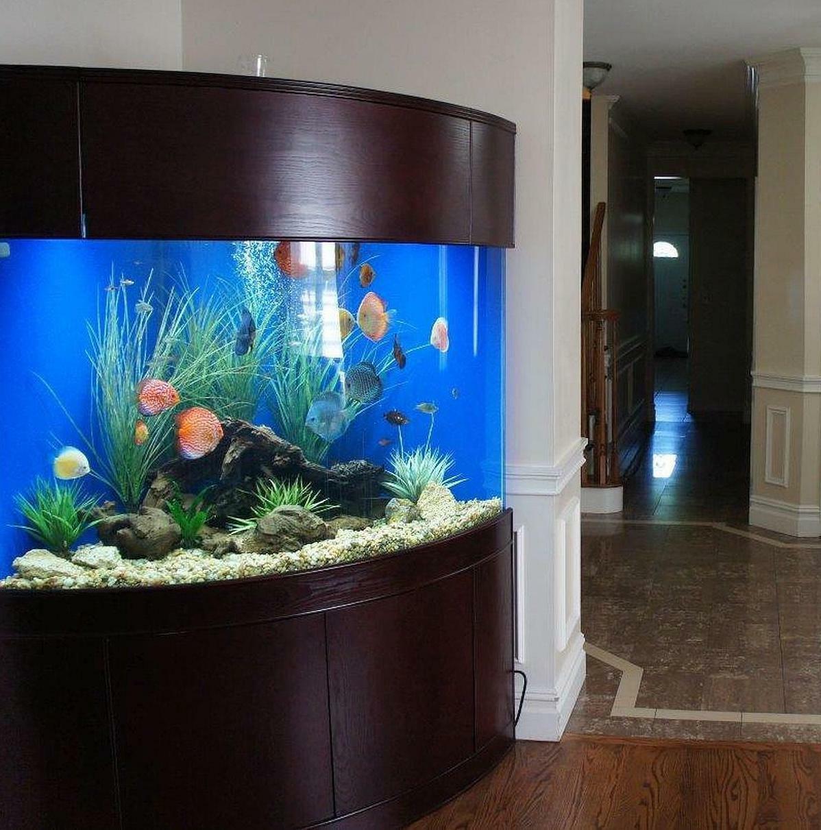 large fish tank for sale