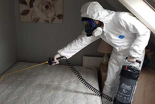 laundry detergent that kills bed bugs