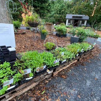 laurens native plant nursery