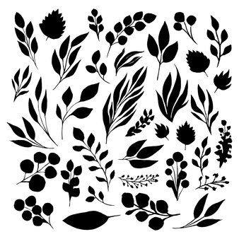 leaf graphic vector