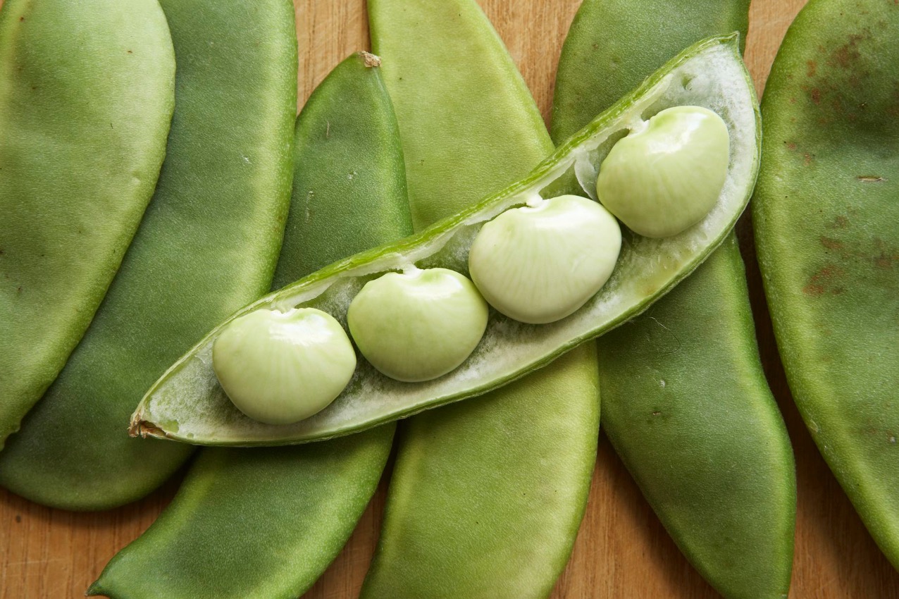 lima beans meaning in hindi