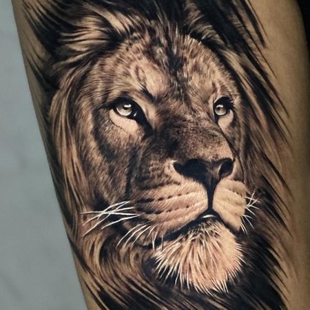 lion tattoo designs