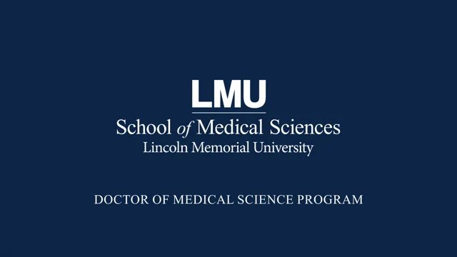 lmu transcript