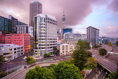 local time in auckland