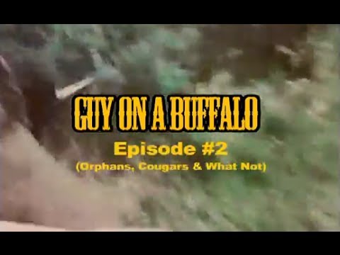 man on a buffalo episode 2