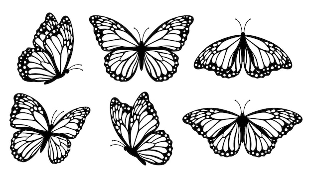 mariposa vector