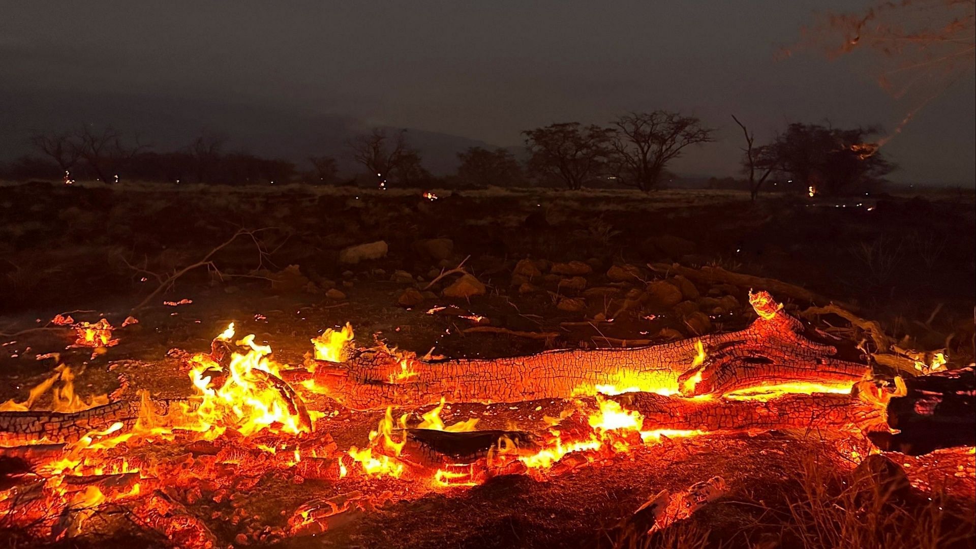 maui fires wiki