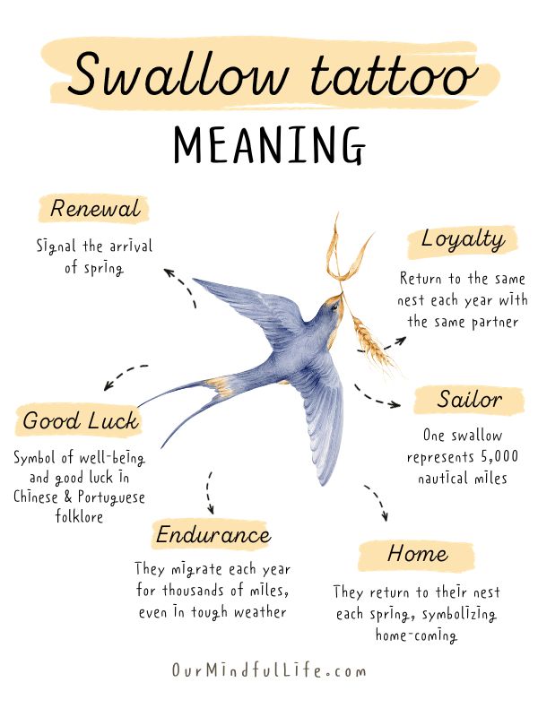 meaning of a swallow bird tattoo