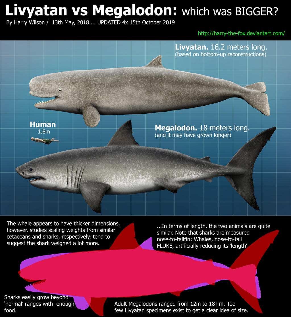 megalodon vs leviathan