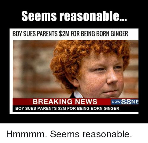 memes about gingers