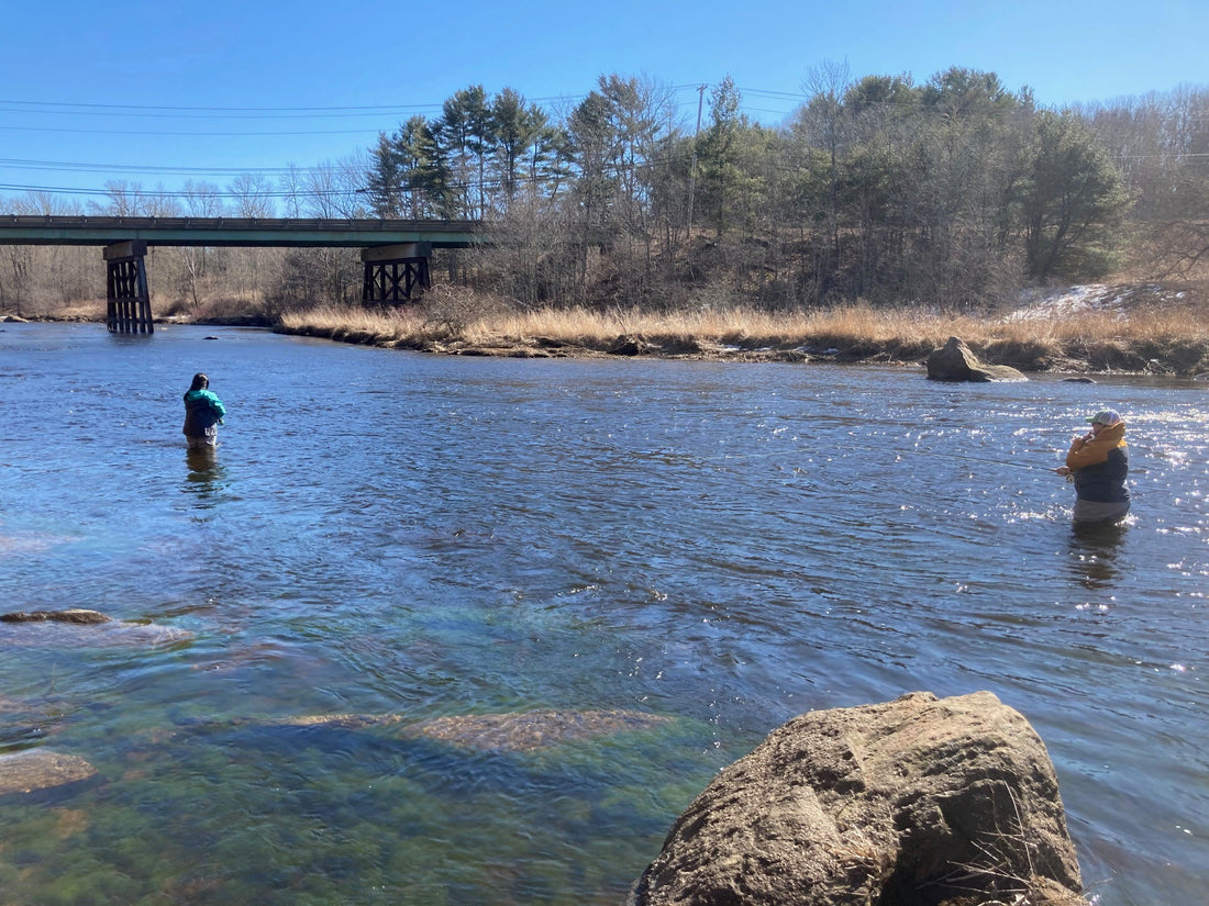 midcoast fishing