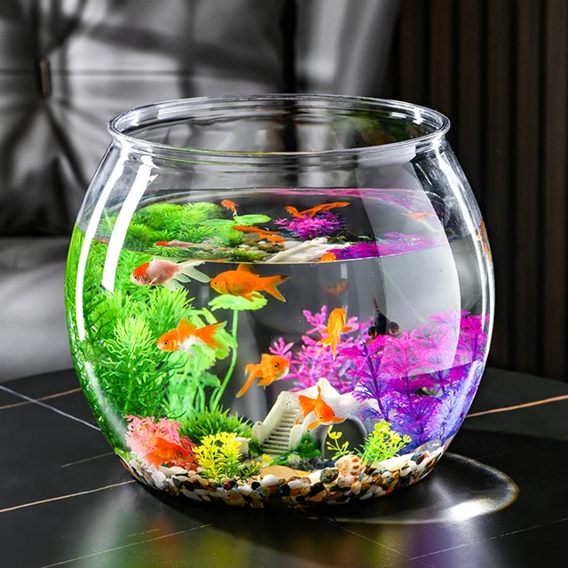 mini fish aquarium