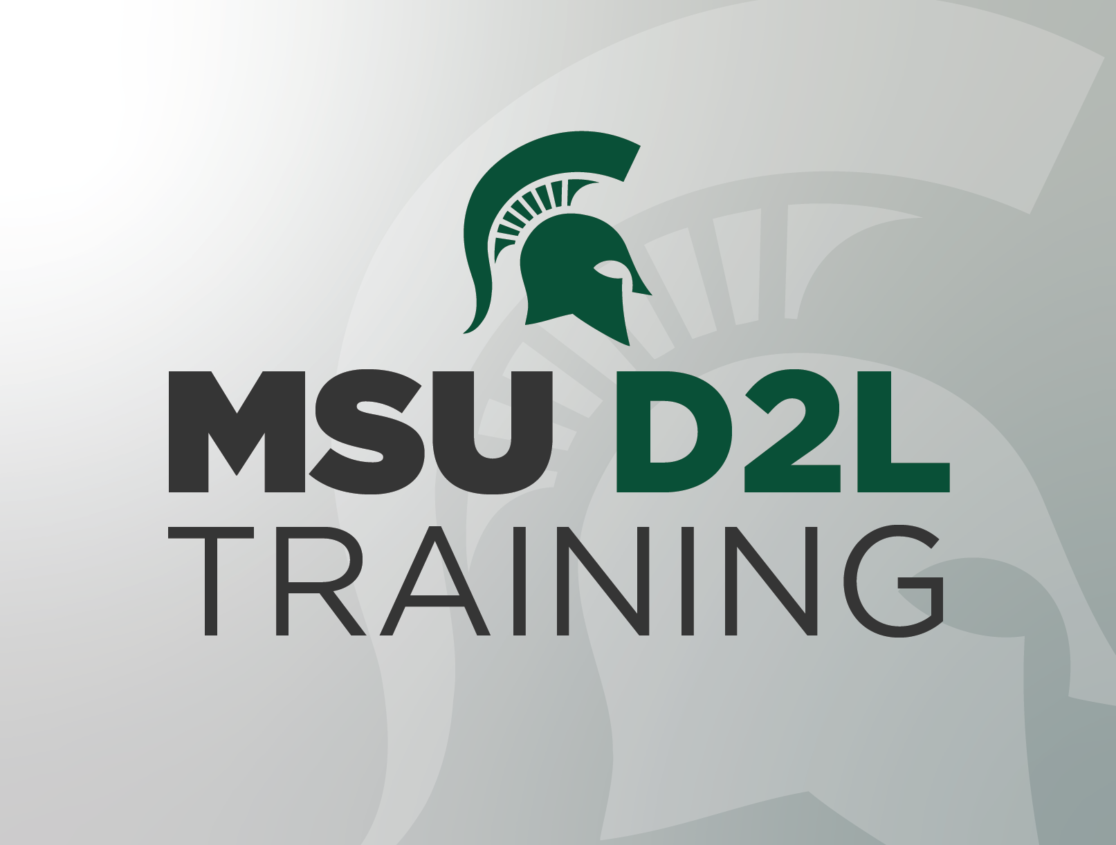 msu d2l