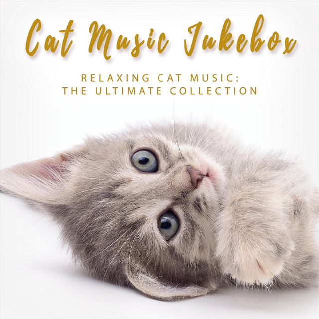 music that relaxes cats