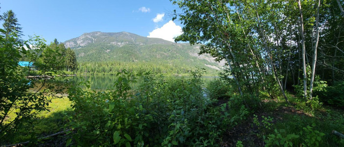 nakusp real estate