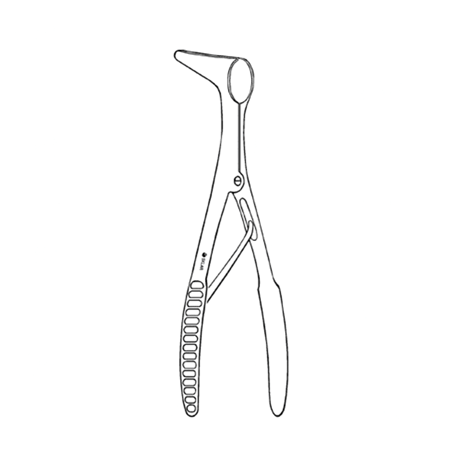 nasal speculum diagram