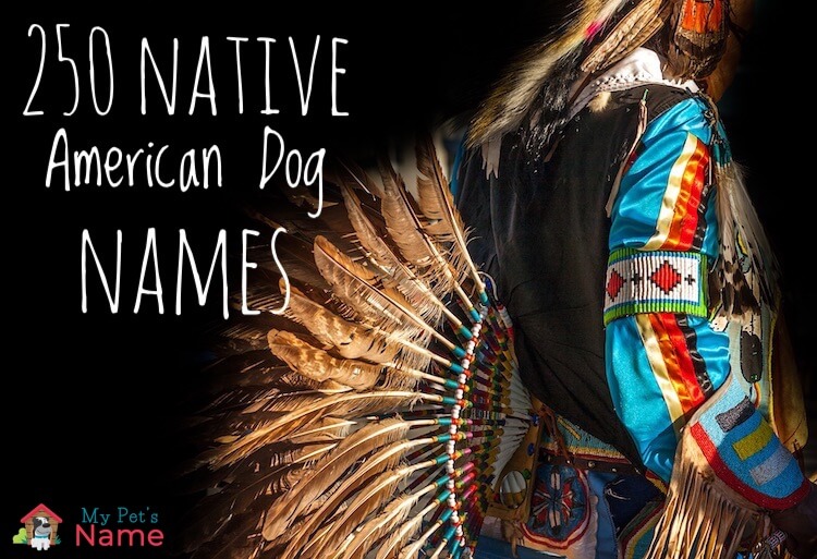 native indian dog names