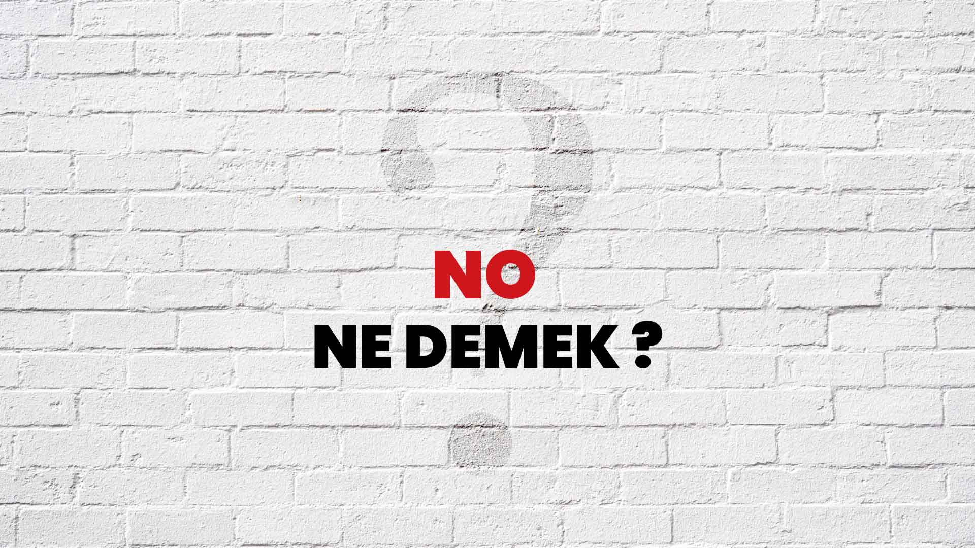 nö ne demek üniversite