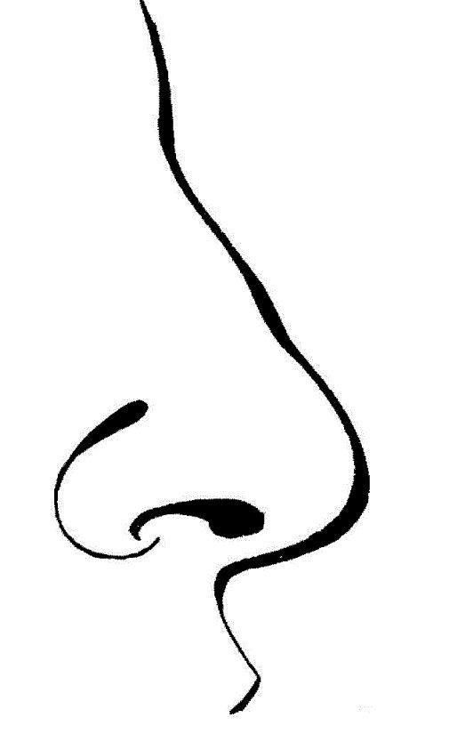 nose coloring page