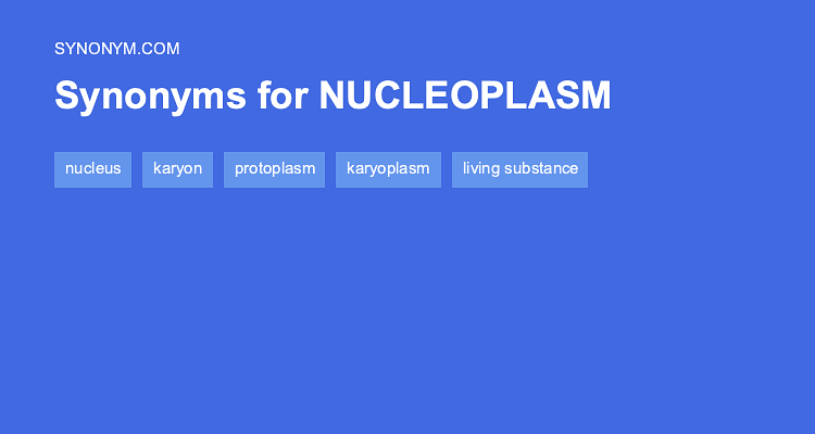 nuclear synonym