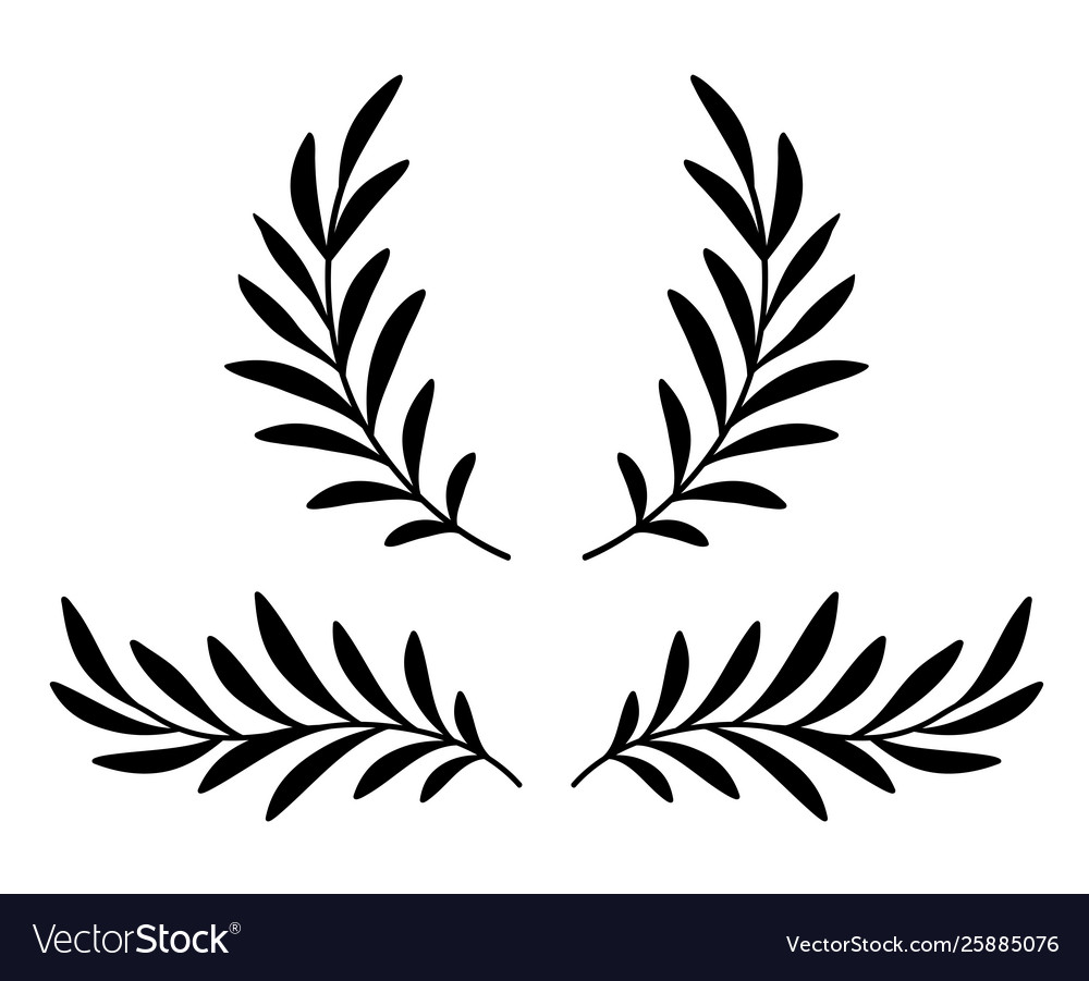 olive branch vector