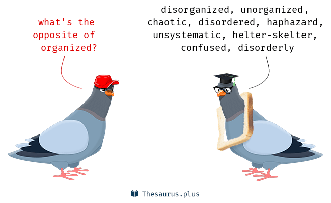 organized chaos synonym